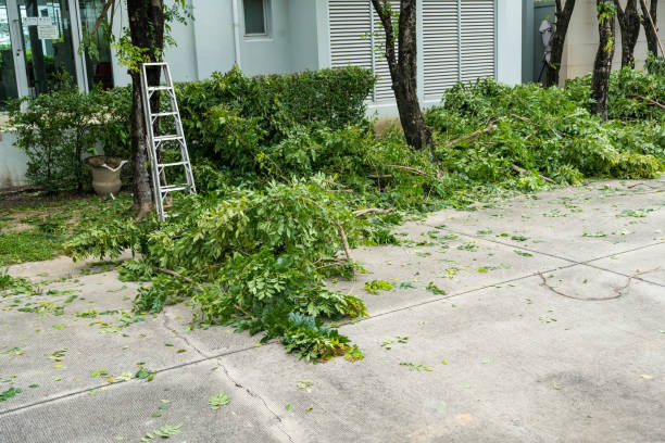 Best Leaf Removal  in North Great River, NY